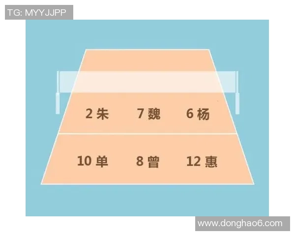 成都排球队反击战术解析与未来发展展望