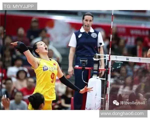 杭州排球队独占鳌头排球个人能力最新TOP10榜单揭晓